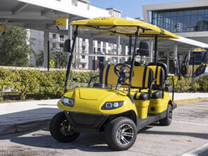 port charlotte golf cart repairs, golf cart service, mobile repair