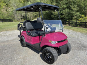 star golf cart, street legal golf cart rental, prime cart rentals